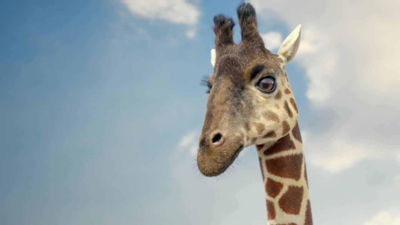 AG Insurance giraffe character animation